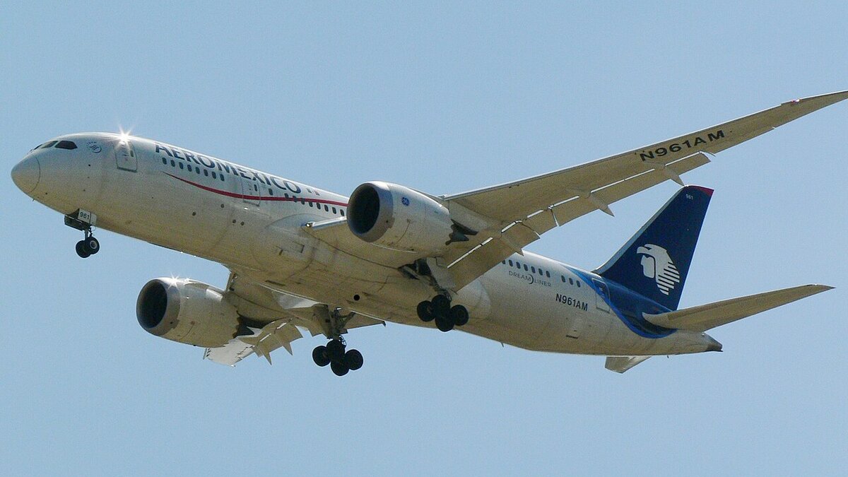 Delta-Aeromexico Joint Venture Ruling: Court Voids DOT Order
