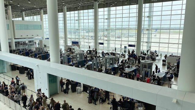 Can You Bring Food on an International Flight? The Two-Gate Rule