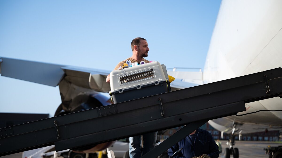 How Much Does It Cost to Fly With a Dog in 2026? Airline Pet Fees Compared