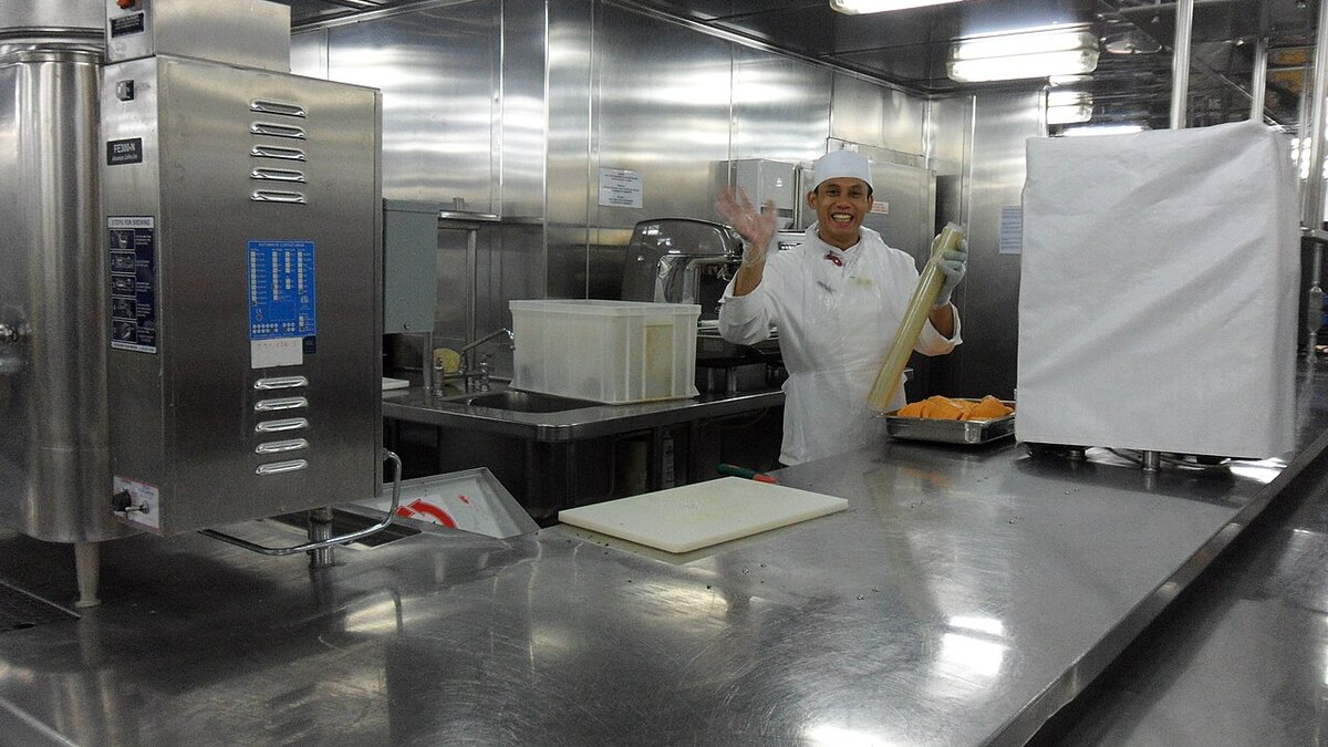 Cruise Ship Health Inspection Scores: How to Check Any Ship