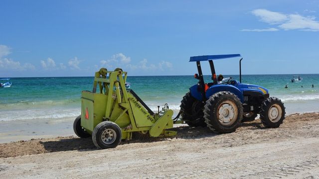 Sargassum Caribbean 2026: Record Seaweed, 40% Hotel Discounts
