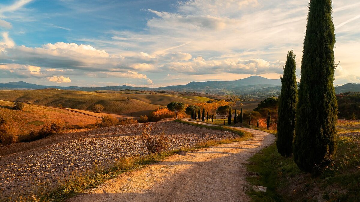 International Driving Permit for Italy: Who Needs One in 2026