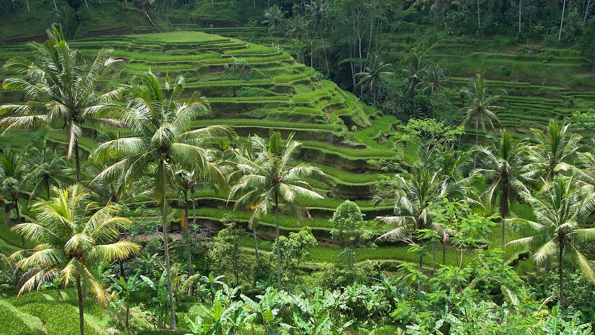 Best Time to Visit Bali: Month-by-Month 2026-27 Guide