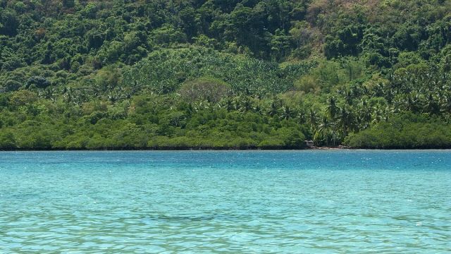 Do I Need a Visa for Philippines from India? 2026 Guide