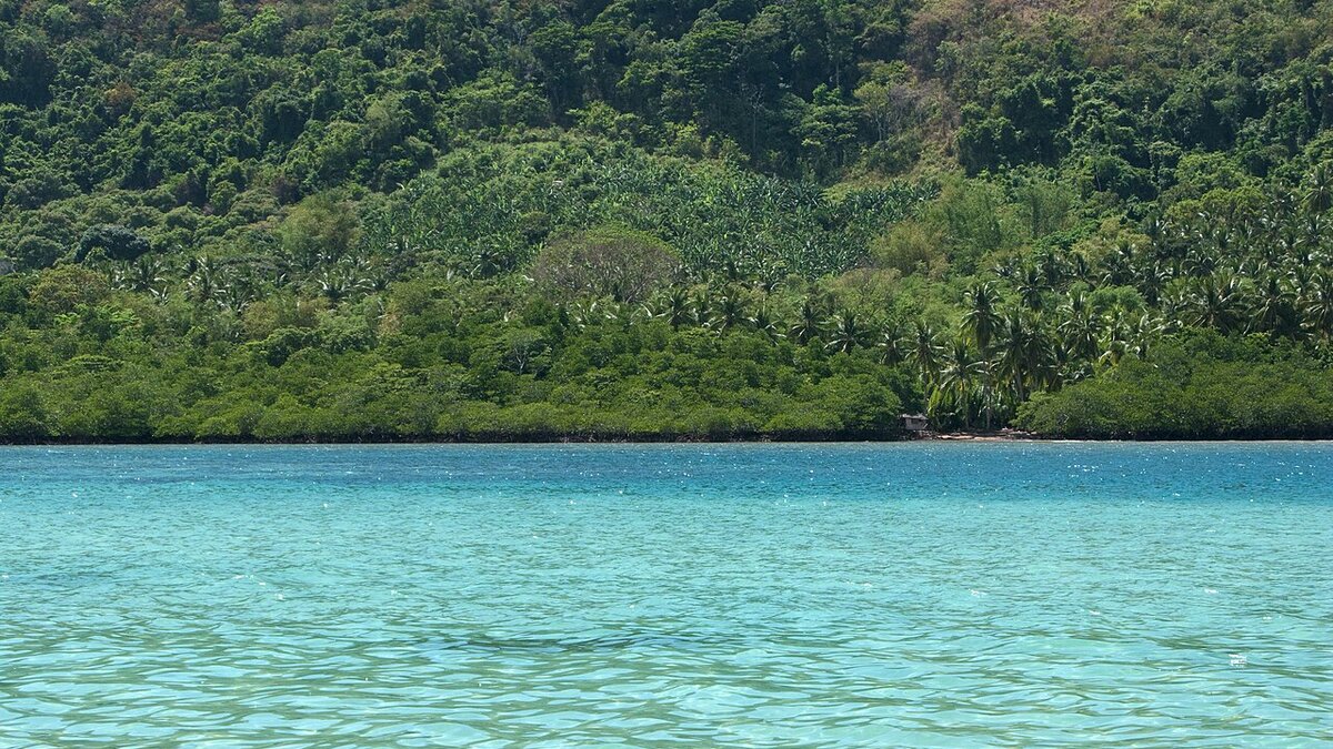 Do I Need a Visa for Philippines from India? 2026 Guide