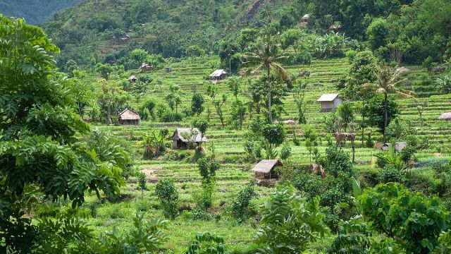Is Bali Safe for Solo Female Travellers in 2026? Areas, Risks & Tips