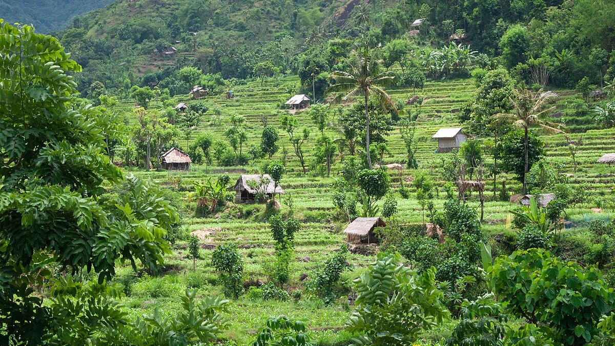 Is Bali Safe for Solo Female Travellers in 2026? Areas, Risks & Tips