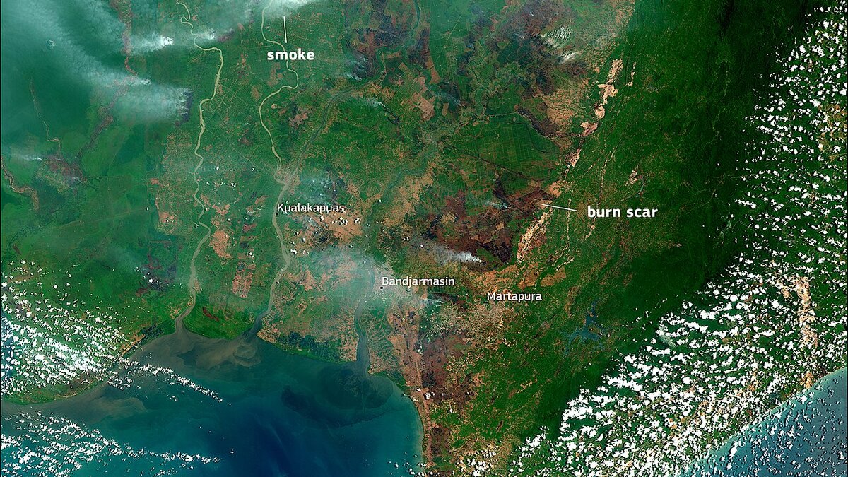 Kalimantan Fire Hotspots Surge in West and Central