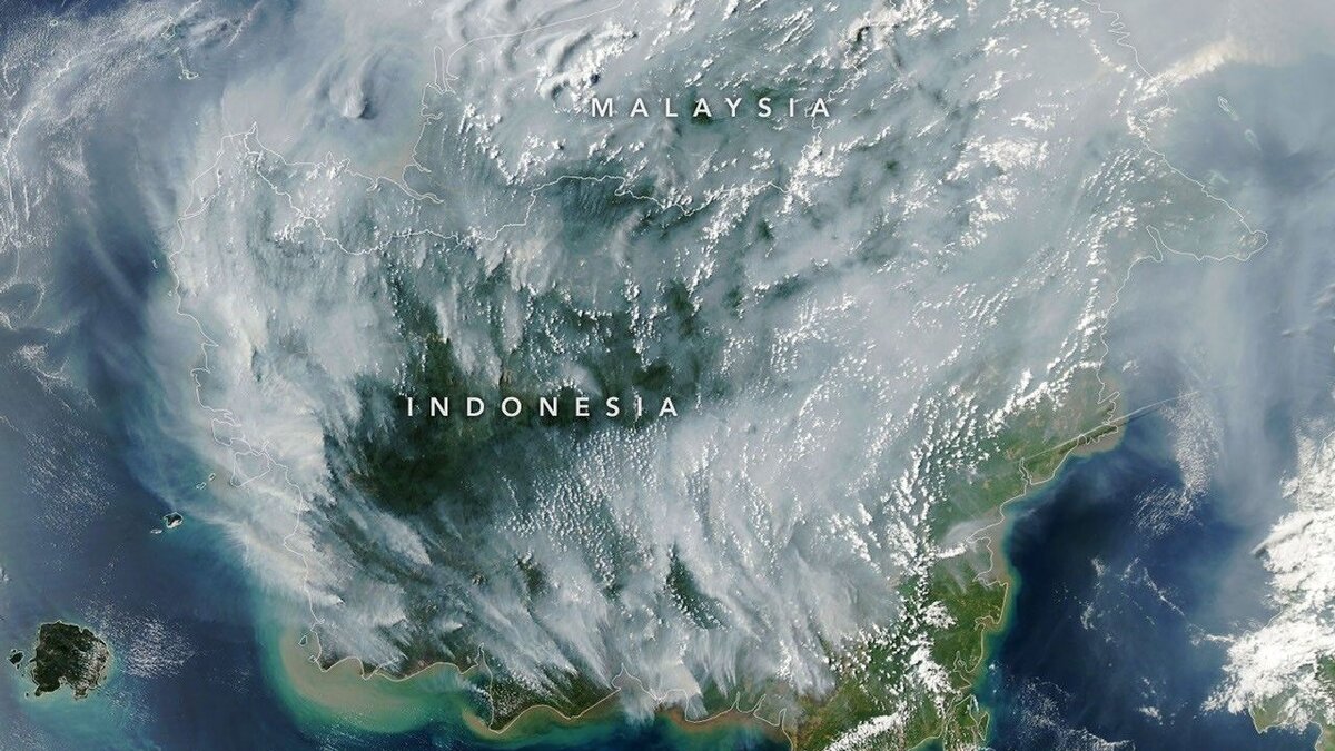 Serian Haze Emergency: Sarawak API Hits 519