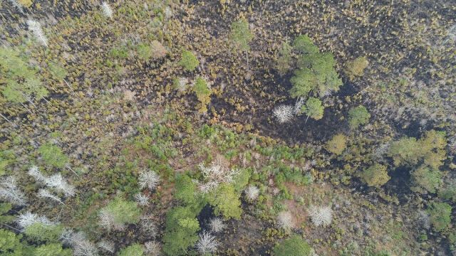 UB Forest Thermal Drone Boosts Fire Detection