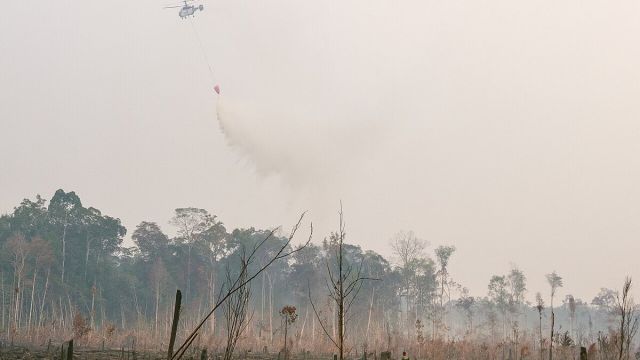 Jambi helicopters battle 6-hectare forest park fire