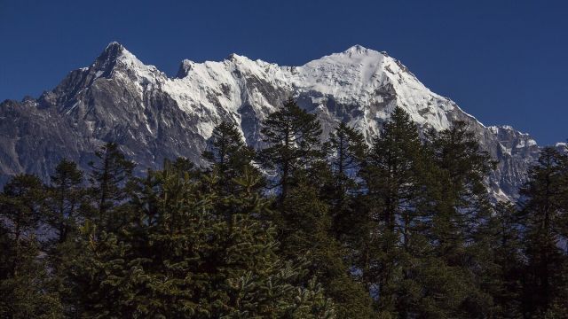 Nepal Flood Toll Hits 1,287 as Langtang Glacier Collapse Confirmed