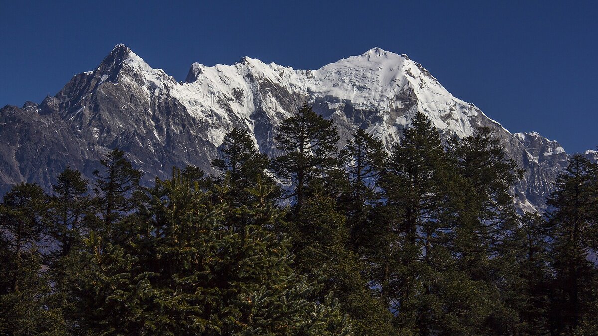 Nepal Flood Toll Hits 1,287 as Langtang Glacier Collapse Confirmed