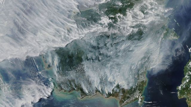 Indonesia Names 113 Wildfire Suspects as 4,741 Hectares Burn
