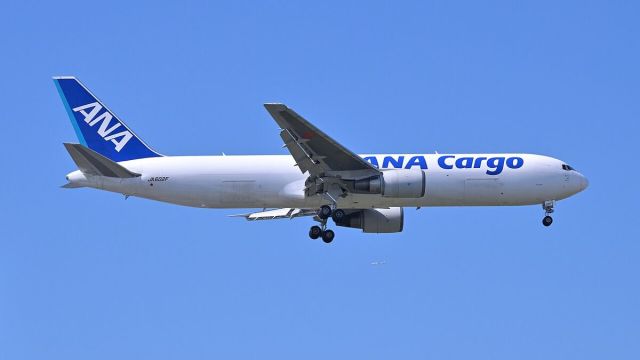 Amazon 767 Overruns Miami Runway, Five Killed