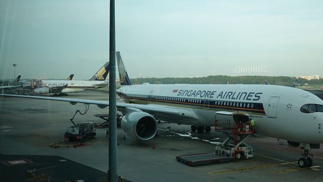 SIA Air India Investment: Singapore Won't Step In