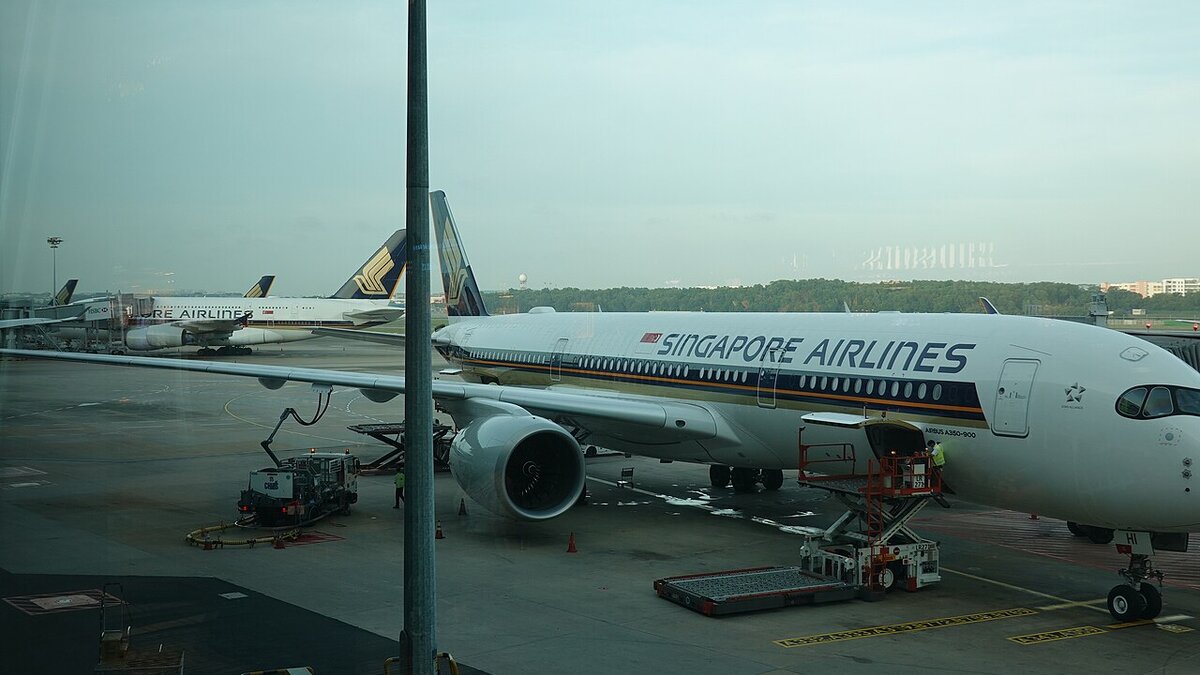 SIA Air India Investment: Singapore Won't Step In