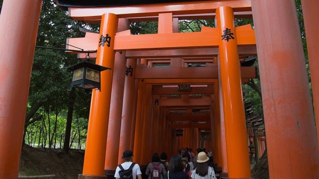 Japan's Tourism Boom Sets New Records in 2026 Despite China's Travel Freeze