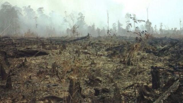 Kalimantan Haze Chokes Flights as Singapore Air Sours
