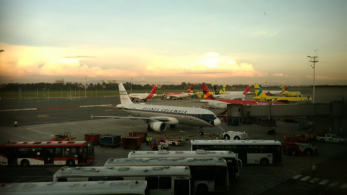 Colombian Visits to the US Hit Highest Jan–Sep Total, Overtaking Italy