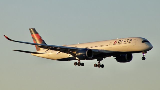 US Airlines Beat Q2 2026 Expectations as Delta's Premium Cabins Outsell Economy and Fuel Costs Pass Into Fares