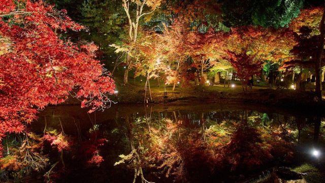 Where to Travel in Autumn 2026: Nine Destinations for Weather, Value and Fewer Crowds